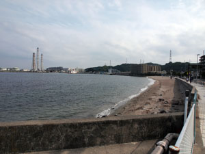 写真6　