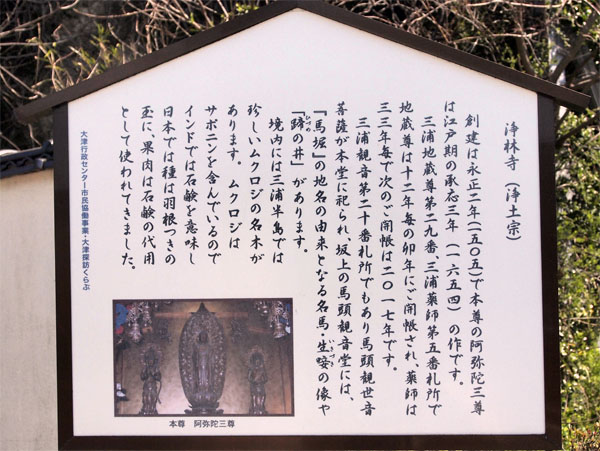 写真6　墓石の背面　男5名女1名の戒名が刻まれている