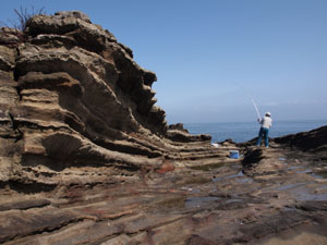 写真7　灯台の東側の海岸　写真1の赤矢印付近の海側