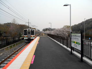 あしかがフラワーパークに到着した、両毛線の電車。新駅の効果か、ここで乗下車する人が多く見受けられた。