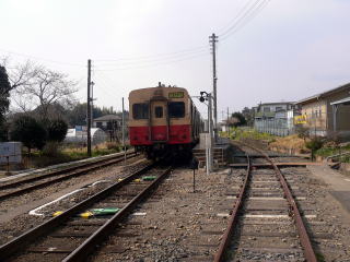 �㑍�T�R�ɒ�Ԓ��̍��S�F�̃L�n�R�O