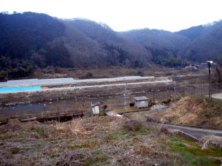 信木の駅全景。段丘に造られた棚田は耕さなくなって荒れている。