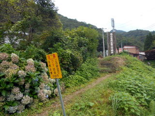 �ԓ�����w�֍s���ɂ͖��ܑ��̓����オ��B���̒n��̓N�}�o�v�n�т̂悤�ł���B