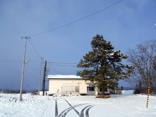 下徳富の駅舎。駅の真ん前に松の大木が１本植えられている。