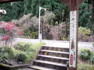 �m�a�̉w�\���̕��i�̂ЂƂB���ɂ��鉷�x�v�ɂ������̂̕��i��������B