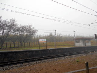伊那田島の駅裏にはカキやリンゴの果樹園がある。