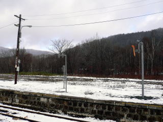 �����̃v���b�g�z�[���Ǝ��͂̕��i�B�����́u�����N���v�̂o�u�̃��P�n�Ɏg��ꂽ�w�ł���B