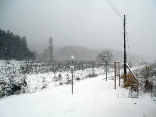 歌内の駅裏は手つかずの土地となっている。