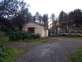 �h�m���̋l�����ҍ����B�܂�ŗт̒��Ő\����Ȃ������ɂ�������ł���悤���B