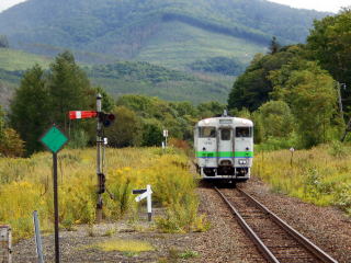 �f��p�̘r�؎��M���@�ƁA���Ђɓ������鍪���{���̃L�n�S�O