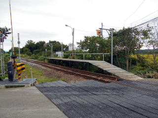 非常に短い南美深の板張りホーム