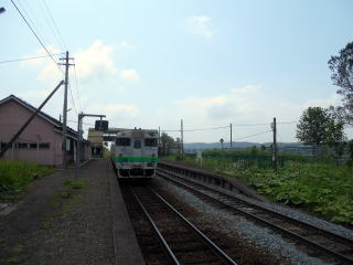 �Â��ɔ��Ԃ̎��Ԃ�҂@�J�{���̃L�n40