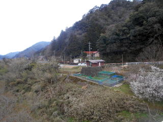 竹の周辺の景色。これでも秘境駅のランク外とは意外ではある。