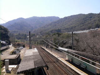 �R�̒��Ɉʒu���Ă���̂�������A�R���k�̎��͂̕��i�B