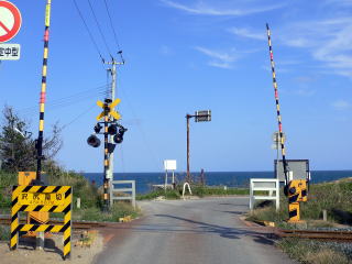 �L�Ƃ̉w�O�̓��؂��猩���鑾���m