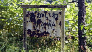 �X�C�b�`�o�b�N����̐Ԋ�̉w���W