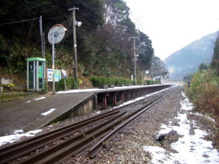 �P���̃z�[���S�i