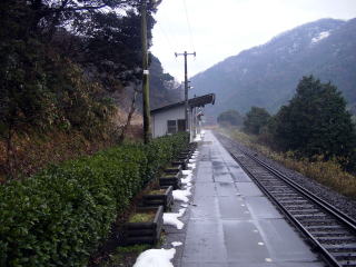 �P���̃z�[���ҍ���