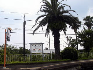 ���̉w���W�ƔM�т̎�