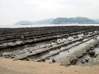 �L���Ȑ��̋S�̐����