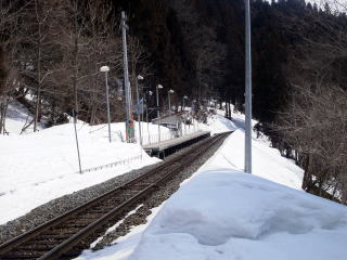 ����̃z�[���S�i