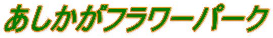 あしかがフラワーパーク 