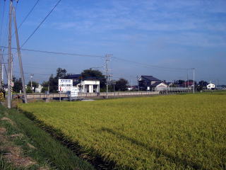 �����̃z�[��