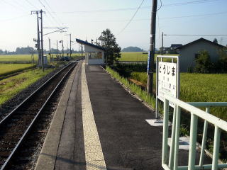 �z�[���̏ォ��B���������w