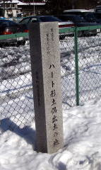 �����t�߂̃n�[�g�^�y��o�y�̔�