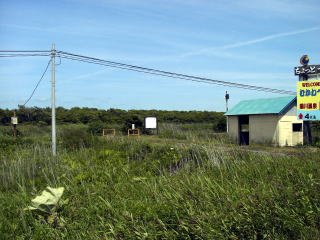 �l�c�Y�̉w�����Ƒҍ���