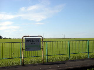 ���Ǖ��̔w��̕��i