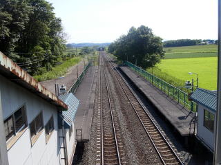 ���Ǖ��̃z�[���S�i