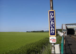 ���Ǖ��̉w���Ɩq���n��