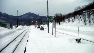 �����z�̃z�[��