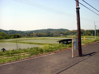 ���R�̃z�[������̕��i�B