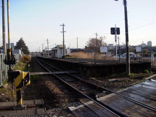 �헤���̃z�[��