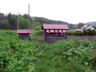 �k���̑ҍ���