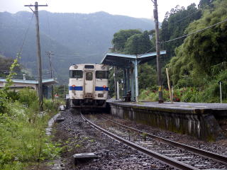 �ɔ��̃z�[��