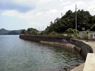 �r�̉Y�V�[�T�C�h�̉w�̌��