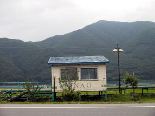 ����̑ҍ����Ɩ؍��