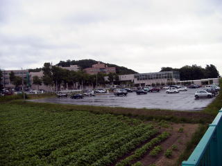 �z�[������B�����k�C����Ñ�w