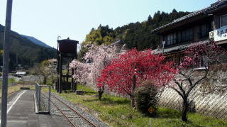 �w�Ɏc�鋋�����ƍ�