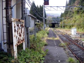 �X�C�b�`�o�b�N����̔J�̃z�[���Ɖw���W