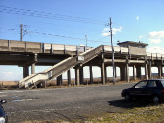 �\�񋴂̉w����