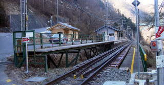 ���}�̃z�[��