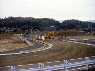 ��H�w�O�̐����H���̗l�q