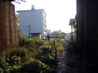 �I�ɒ��m���̋��a�̎R���̃z�[��