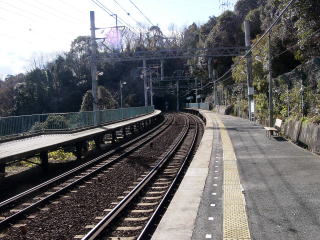 �e���R�̃z�[��