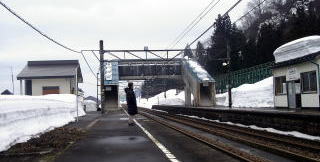 �k�x�V���̃z�[��