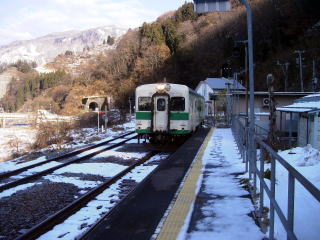 �k���J�ɓ��������L�n�T�Q